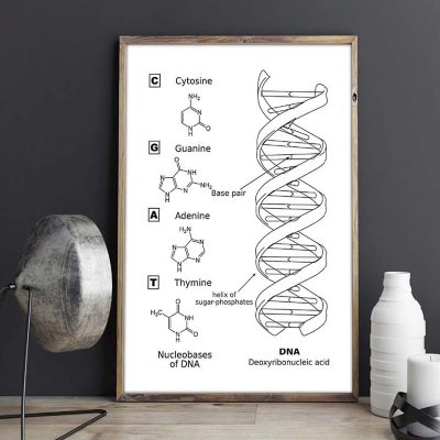 Affiche Scientifique ADN - Poster Scientifique - Science Labs