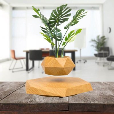 Wooden Levitating Plant Vase