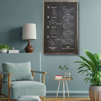 Poster Scientifique ADN - Poster Scientifique - Science Labs