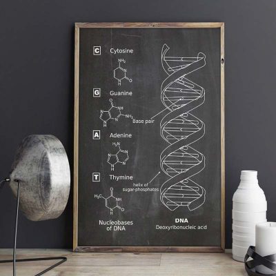 Poster Scientifique ADN - Poster Scientifique - Science Labs