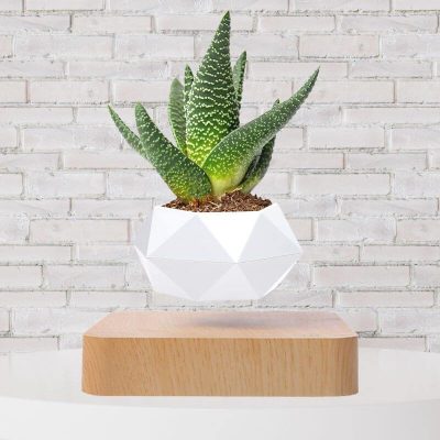 Modern Levitating Plant Vase