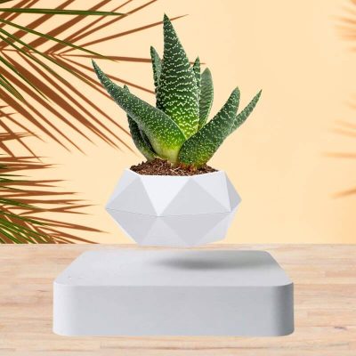 White Magnetic Floating Vase