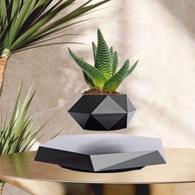 Levitating Black Magnetic Plant Vase