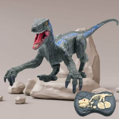 Robot Dinosaur Toy