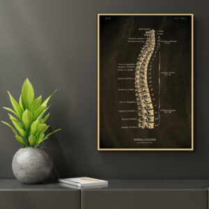 Human Body Anatomy Posters | Science Gifts