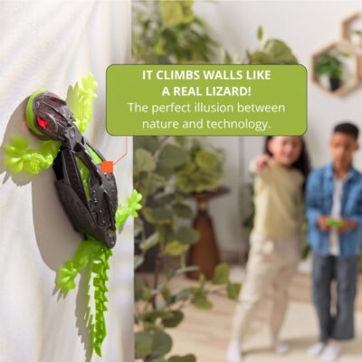 Wall Climbing Gecko