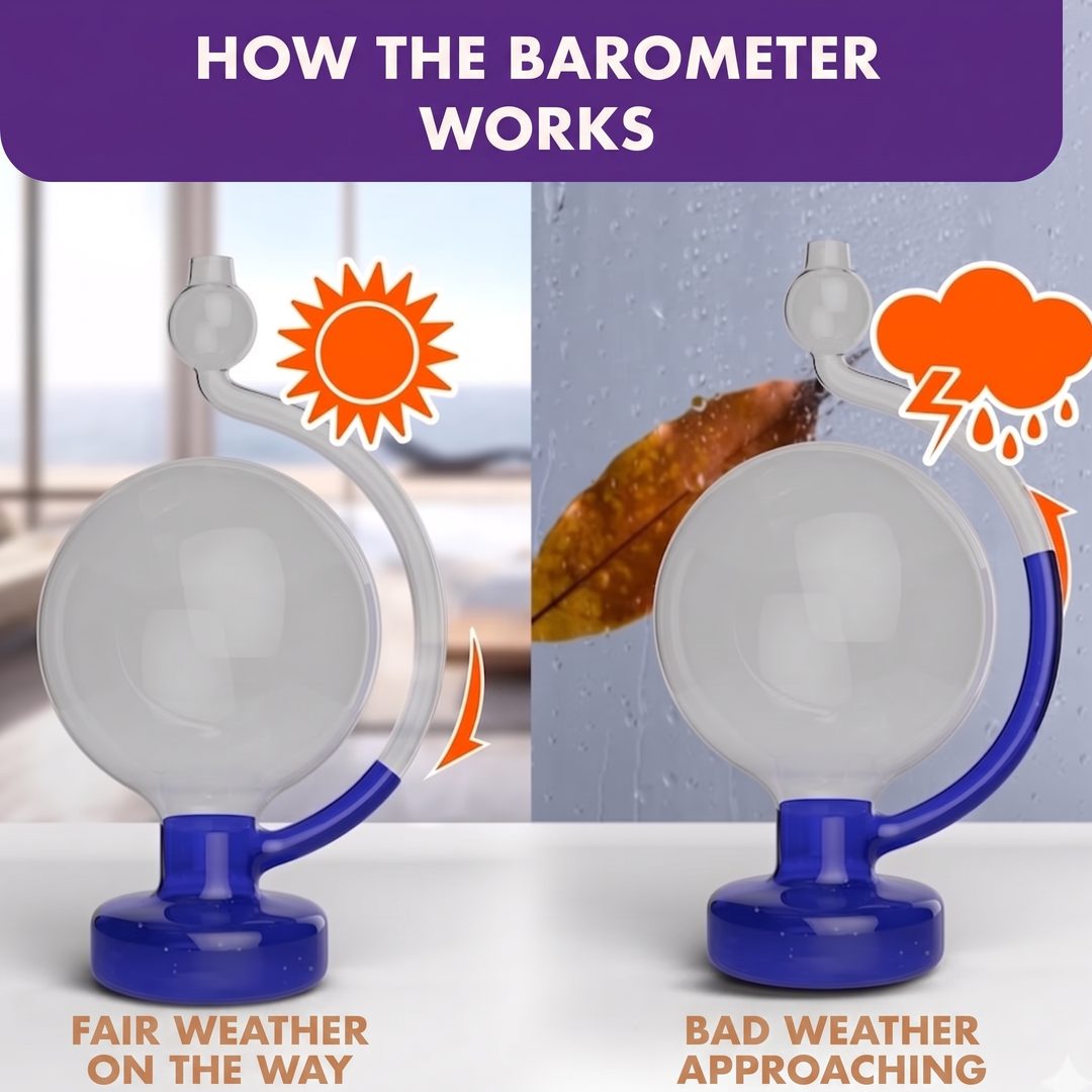 Goethe Barometer