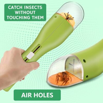 Bug Viewer Magnifier Box