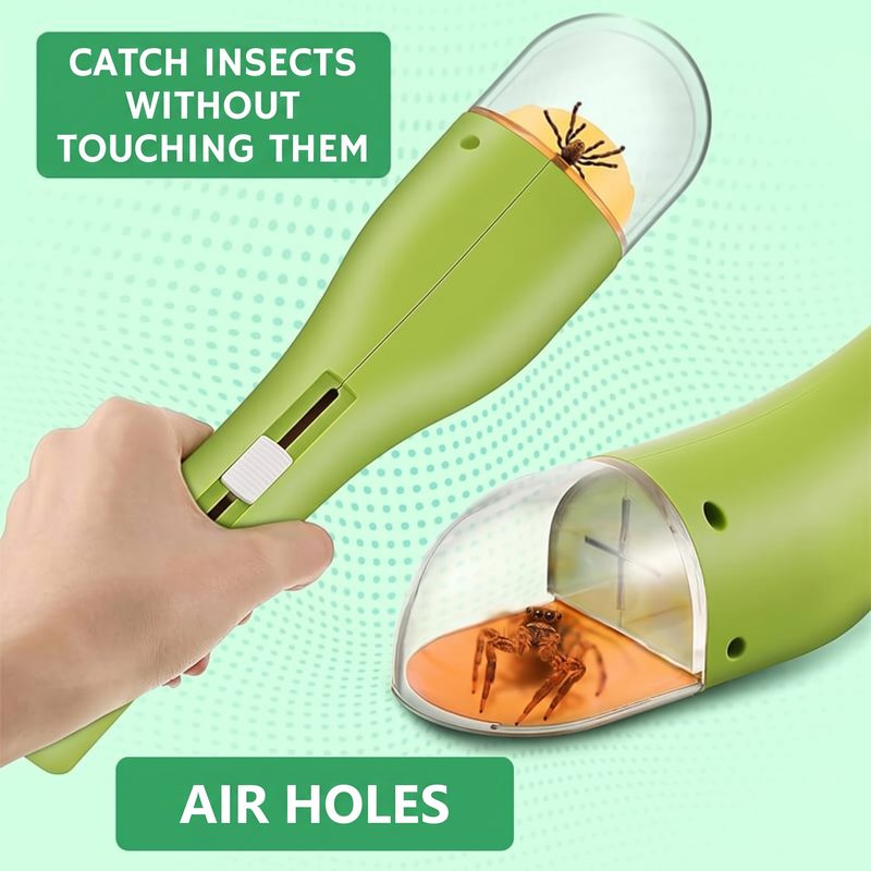 Bug Viewer Magnifier Box