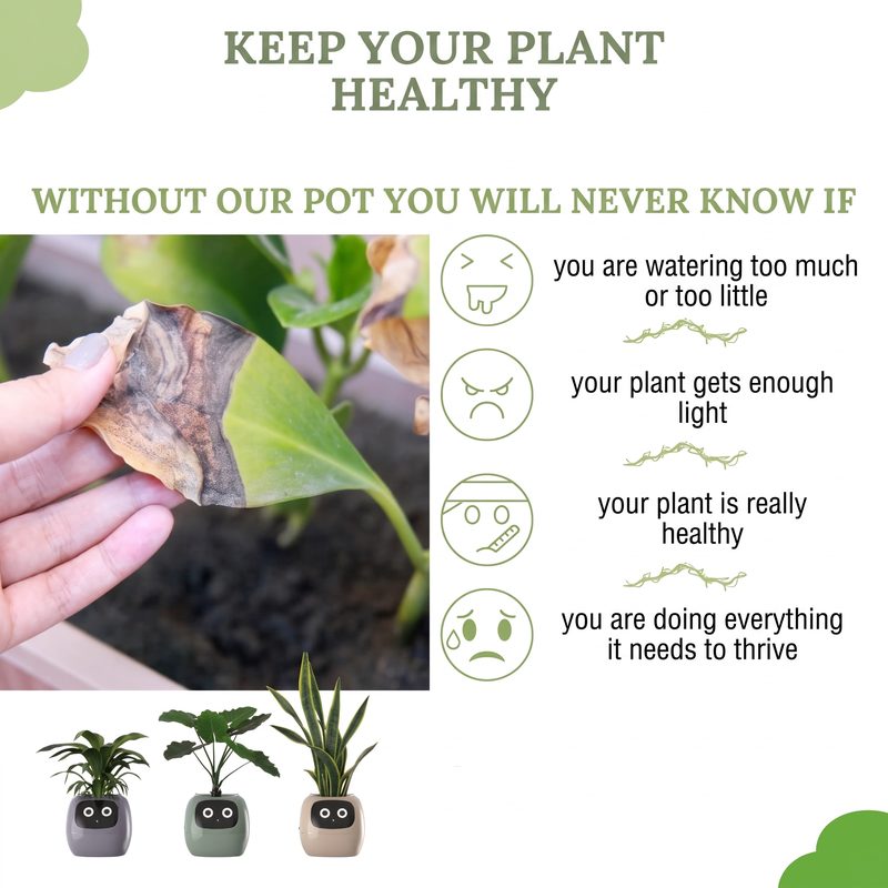 Smart Plant Pot