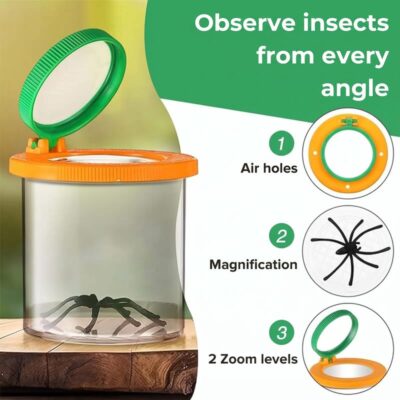 Bug Viewer Magnifier Box