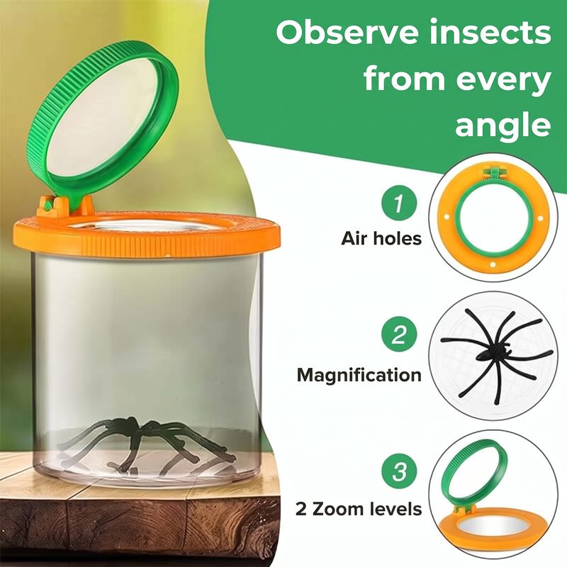 Bug Viewer Magnifier Box