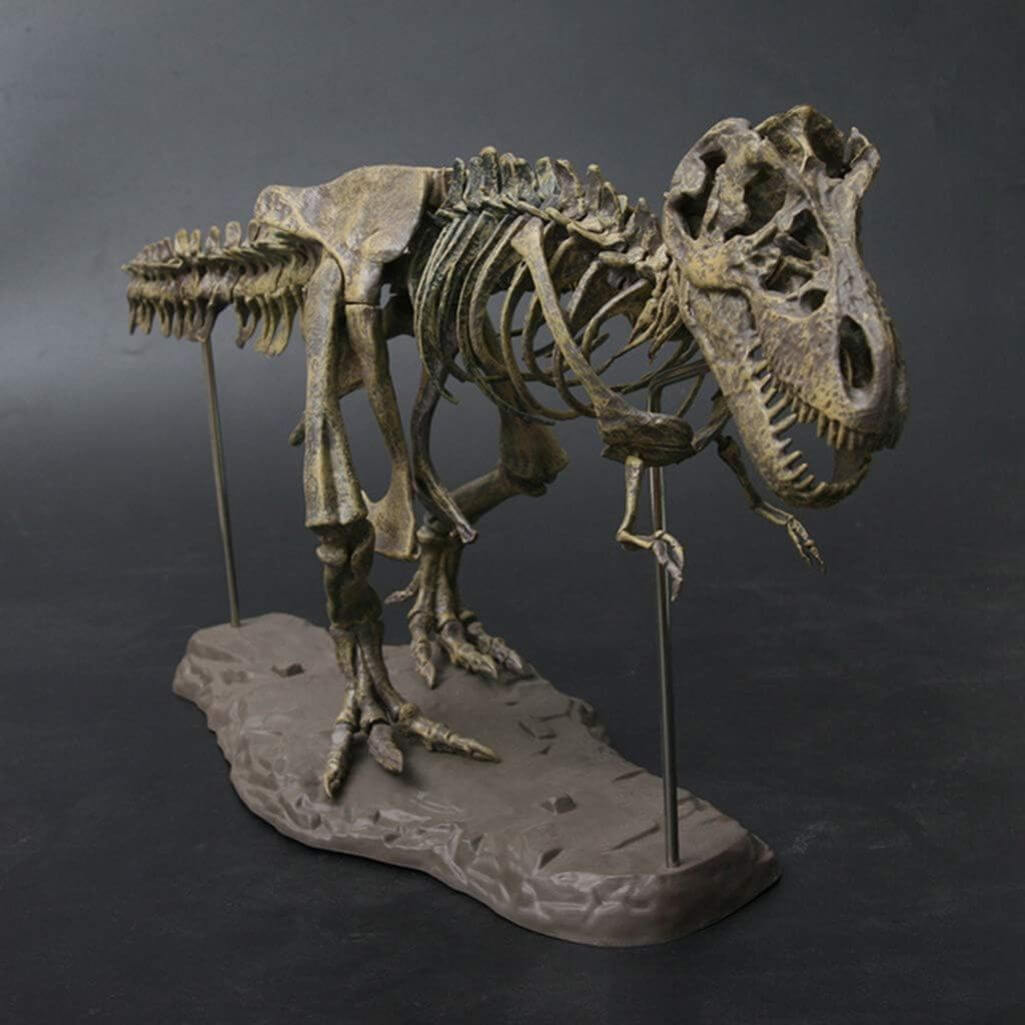 Dinosaur Skeleton Model Kit - Image 2