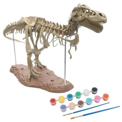 Dinosaur Skeleton Model Kit - Image 3