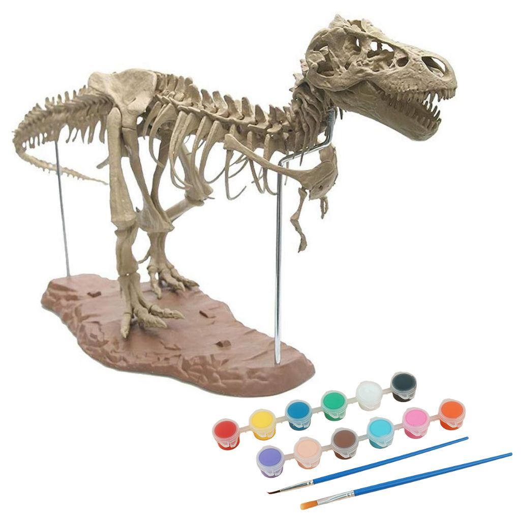 Dinosaur Skeleton Model Kit - Image 3