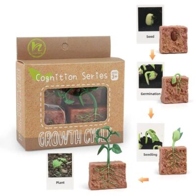 Life Cycle Figures Set - Image 5