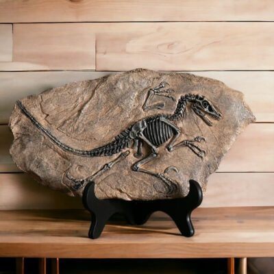 Dinosaur Fossil Replica Plaque