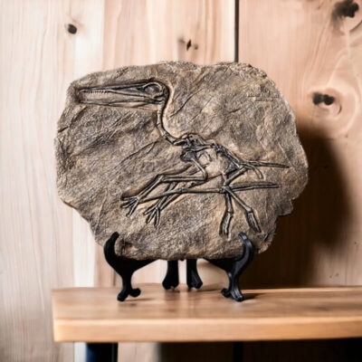 Dinosaur Fossil Replica Plaque - Image 4