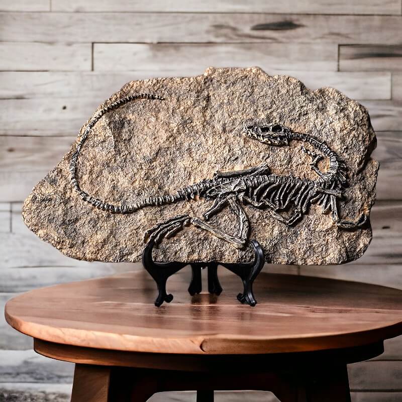 Dinosaur Fossil Replica Plaque - Image 3