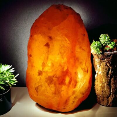 Large Himalayan Salt Lamp