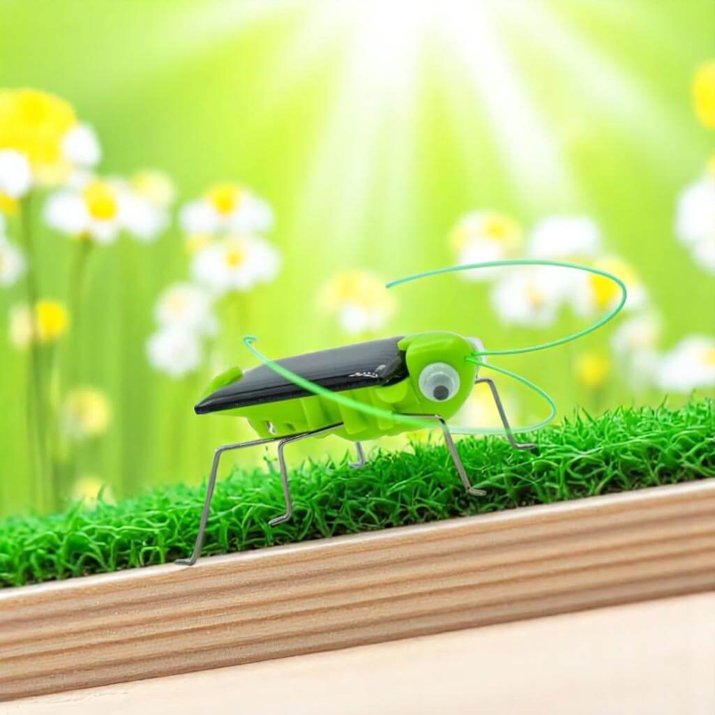 Solar Powered Grasshopper - Image 2