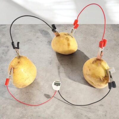 Potato Clock Kit