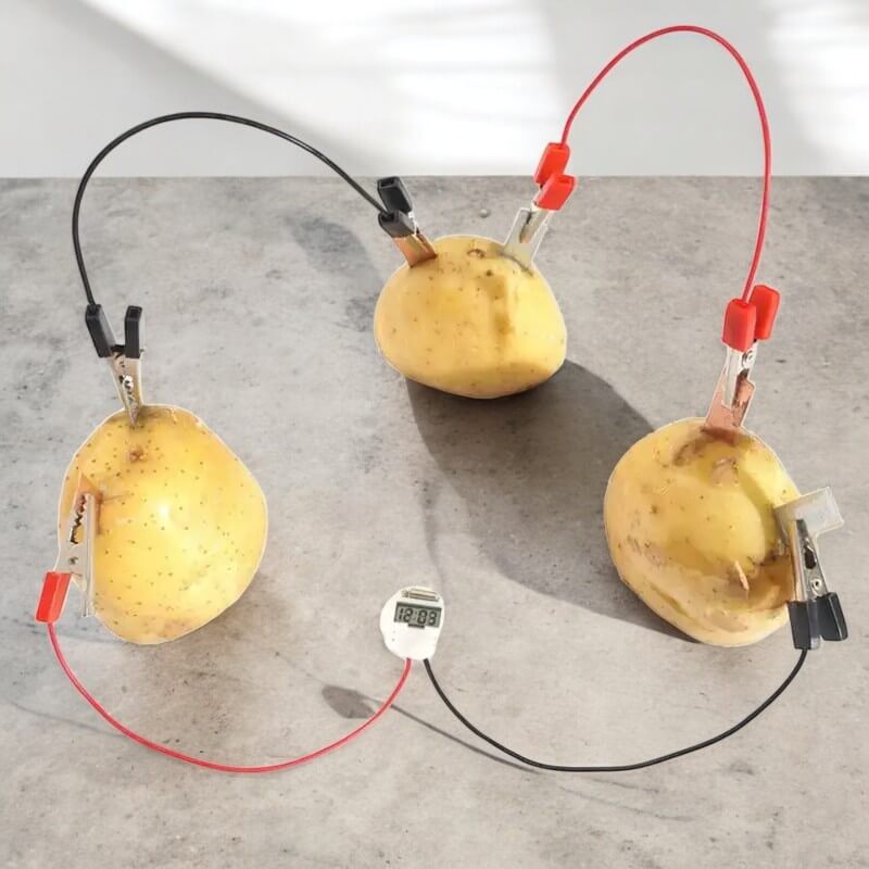 Potato Clock Kit