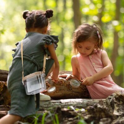 Bug Catcher Kit - Image 4