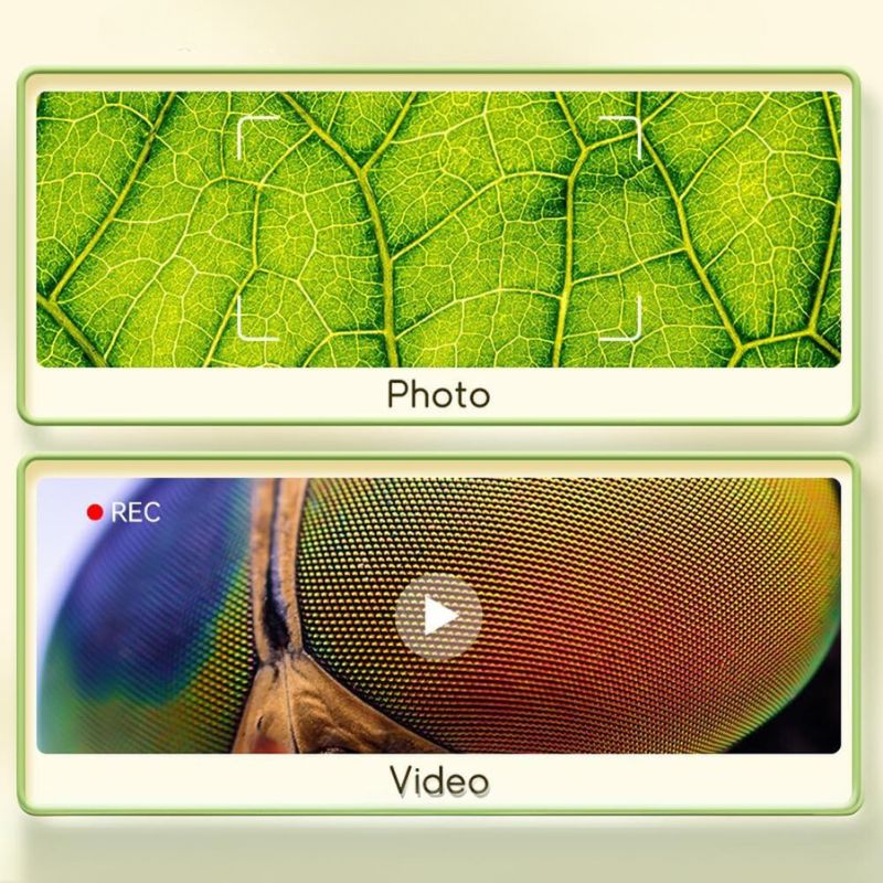 Digital Microscope For Kids - Image 6