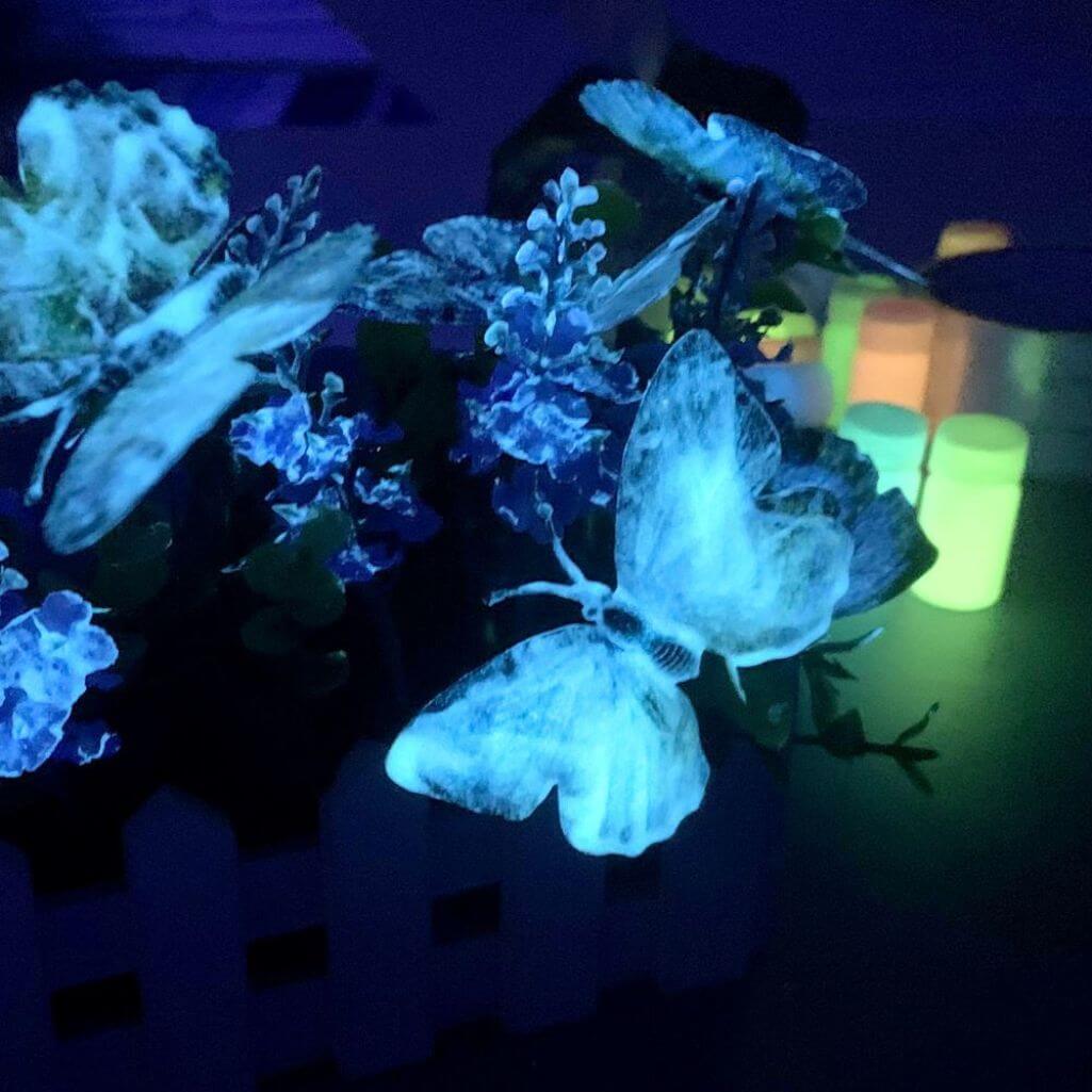 Fluorescent Acrylic Paint Set - Image 3
