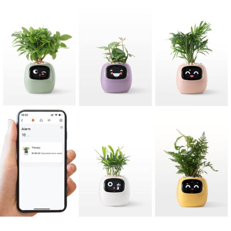 Smart Plant Pot - Image 8