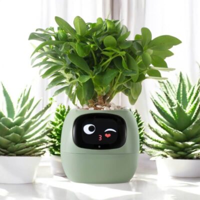 Smart Plant Pot