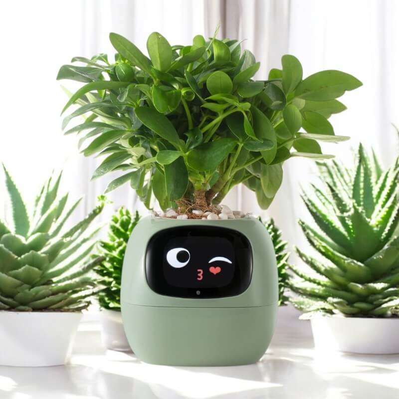 Smart Plant Pot