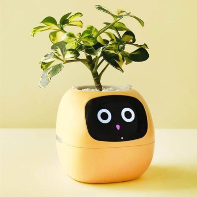 Smart Plant Pot - Image 7